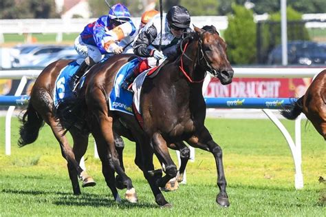 cf orr stakes horses|CF Orr Stakes .